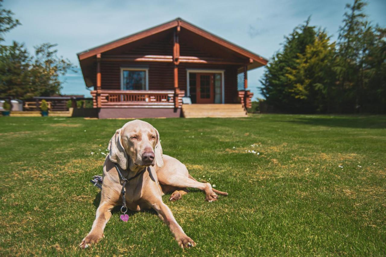 Tomatin - Luxury Two Bedroom Log Cabin With Hot Tub Berwick Upon Tweed Eksteriør bilde